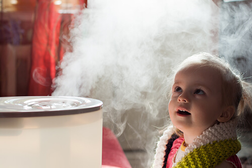 We Also Offer Whole-House Humidifiers