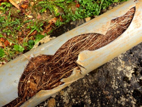 Sewer repair in Sacramento, CA